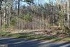 McCormick Swamp Road photo